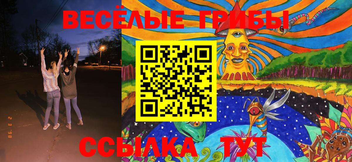 Псилоцибиновые грибы Psilocybe Балаково