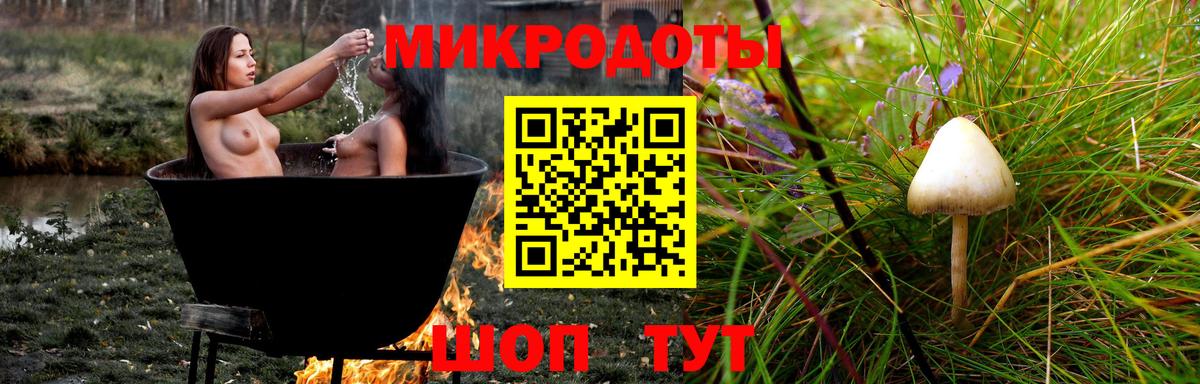 Балаково  где можно купить   Вход с VPN  Галлюциногенные грибы GOLDEN TEACHER 